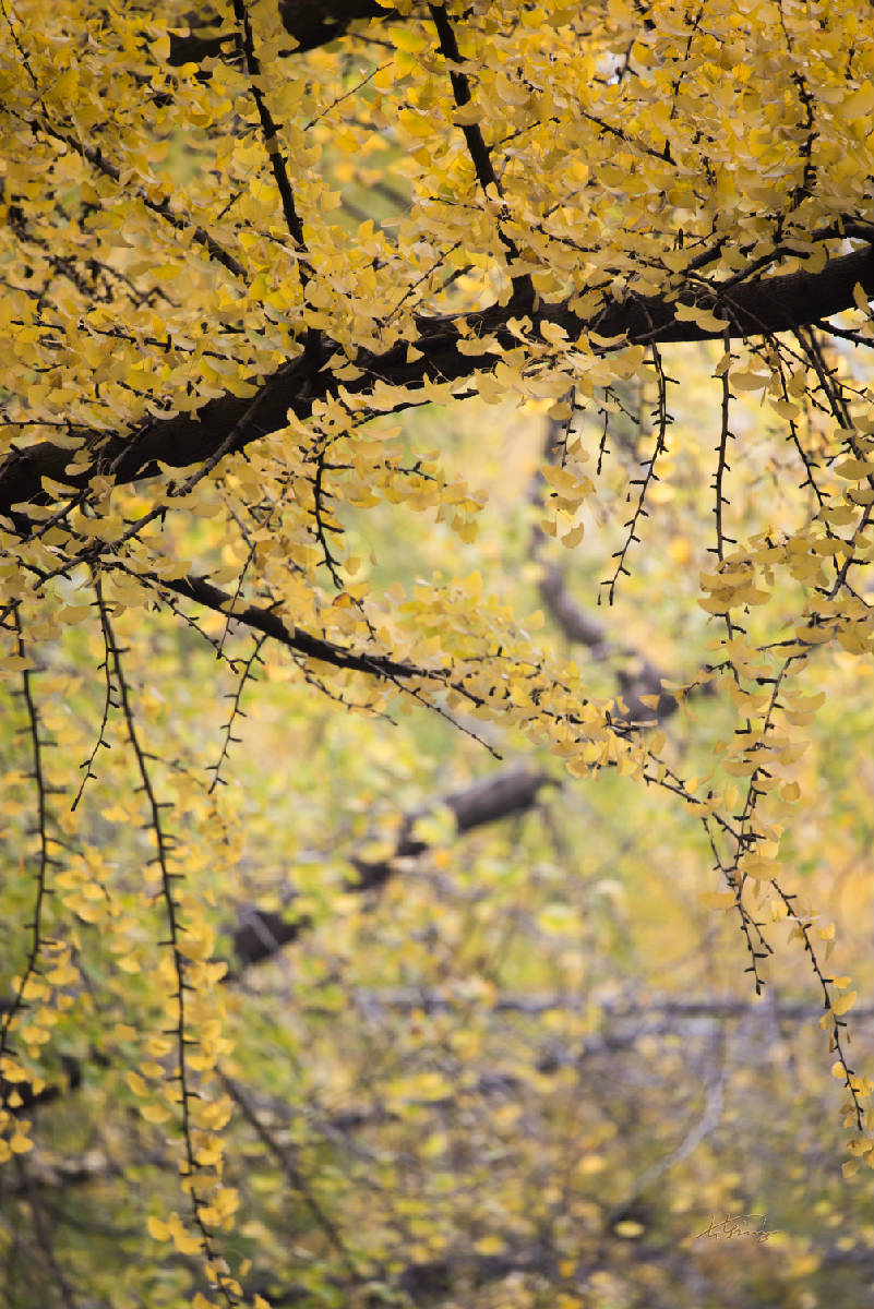 DSC_8057.jpg