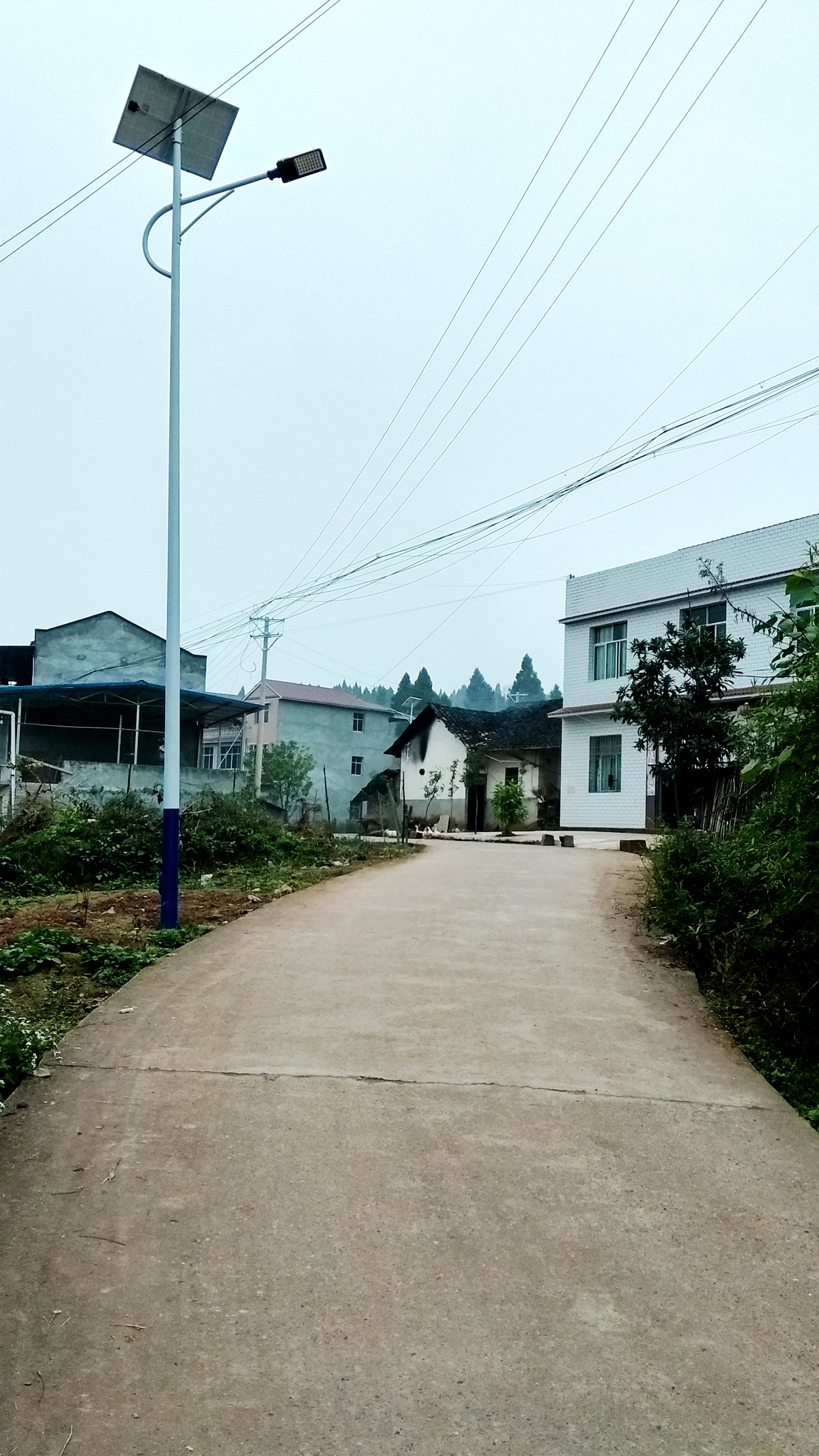 IMG_20171206_174158_HDR.jpg