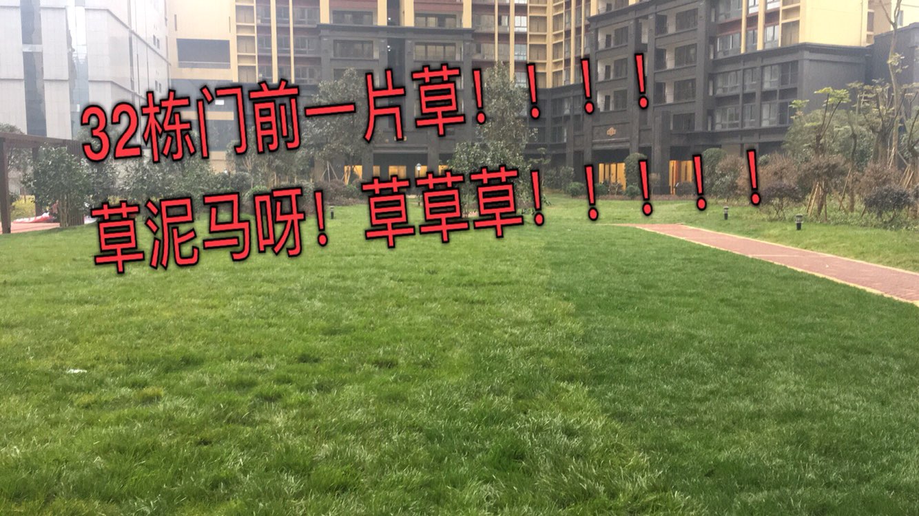 20171208204328.jpeg