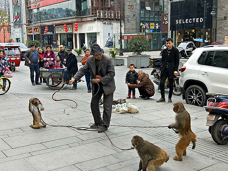 微信图片_20171208215549_副本.jpg