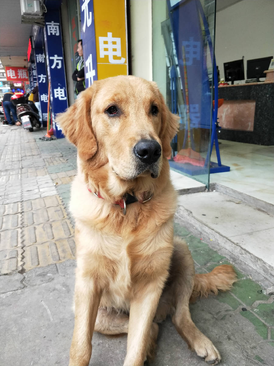 IMG20171015174006.jpg