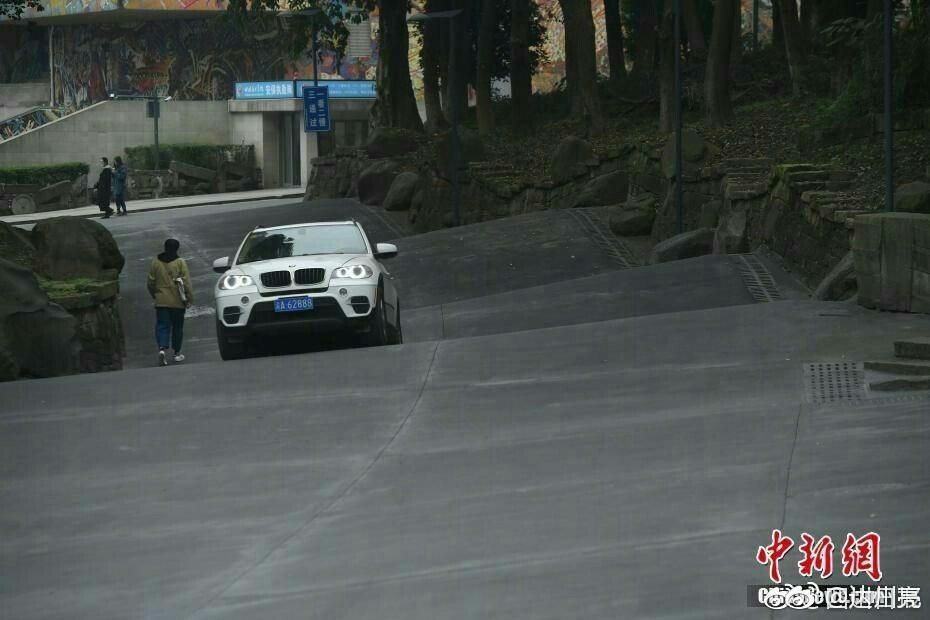 img-afe41eb229e0bdecc11953250c4d2403.jpg