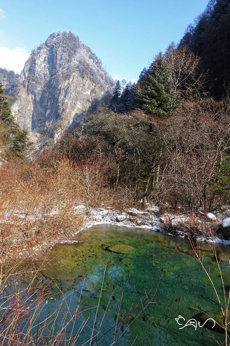 DSC04062-01.jpg