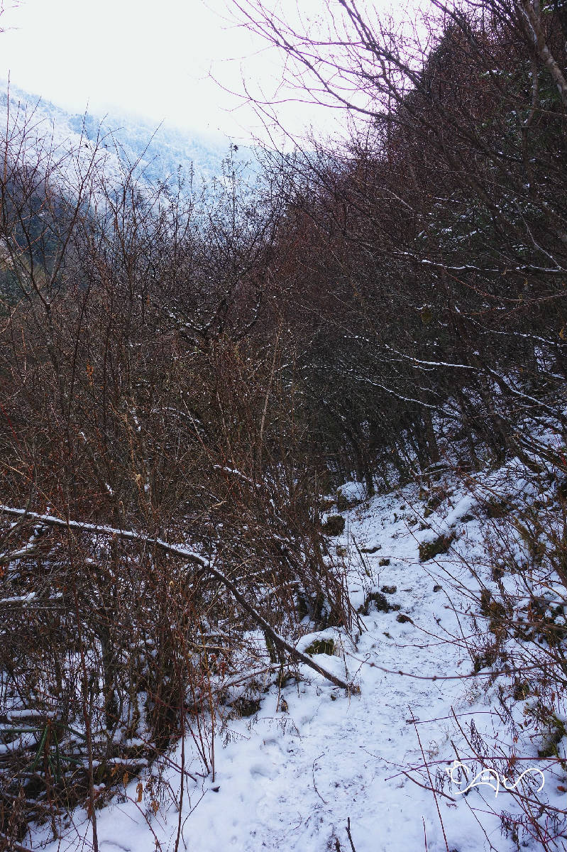 DSC04521-01.jpg