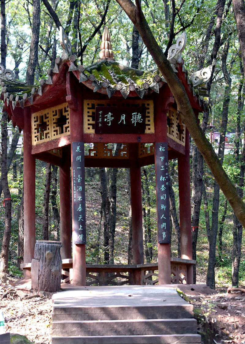 DSC_9346.JPG