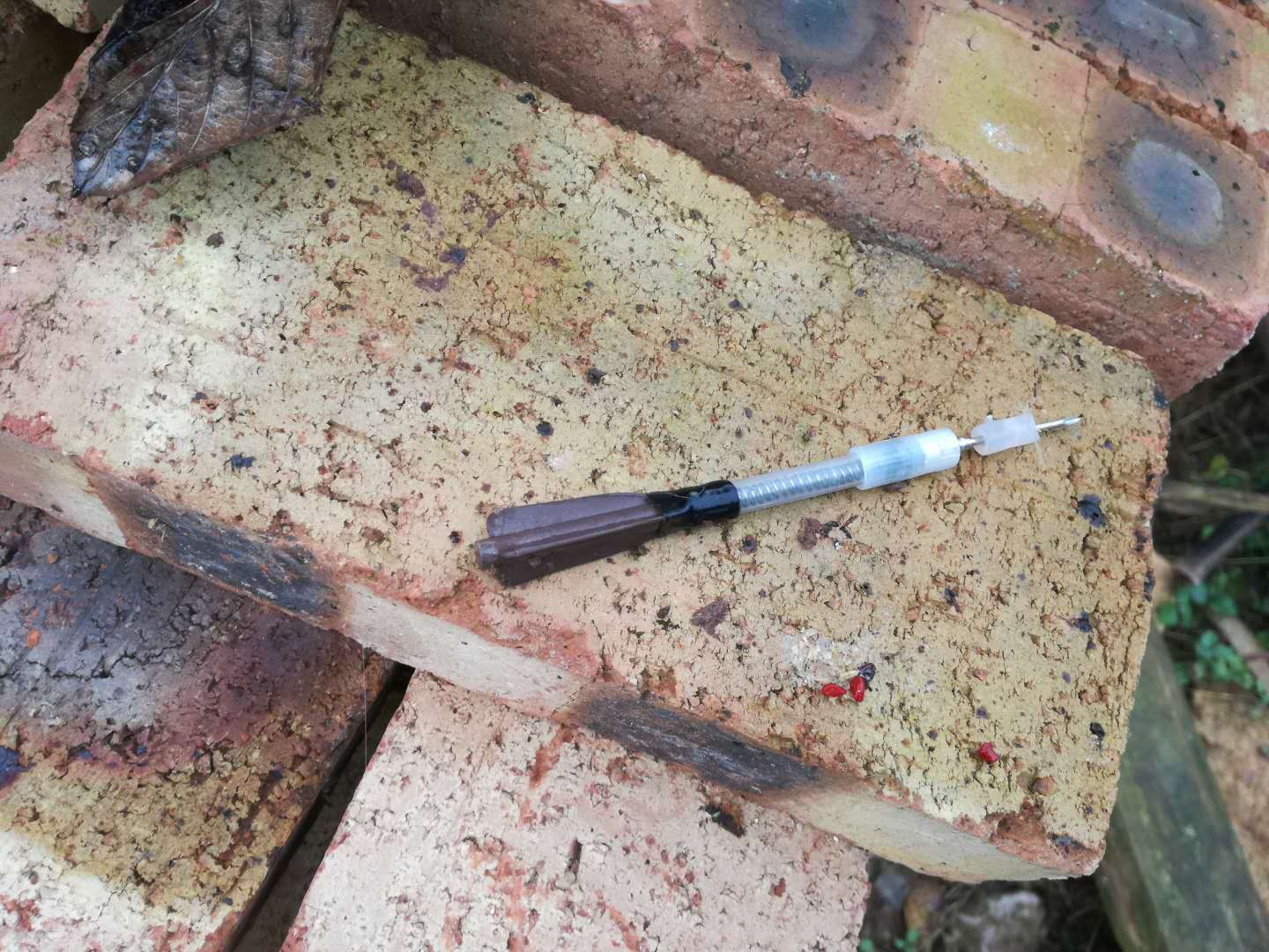 农村用毒镖毒杀狗公安局是否应该管理