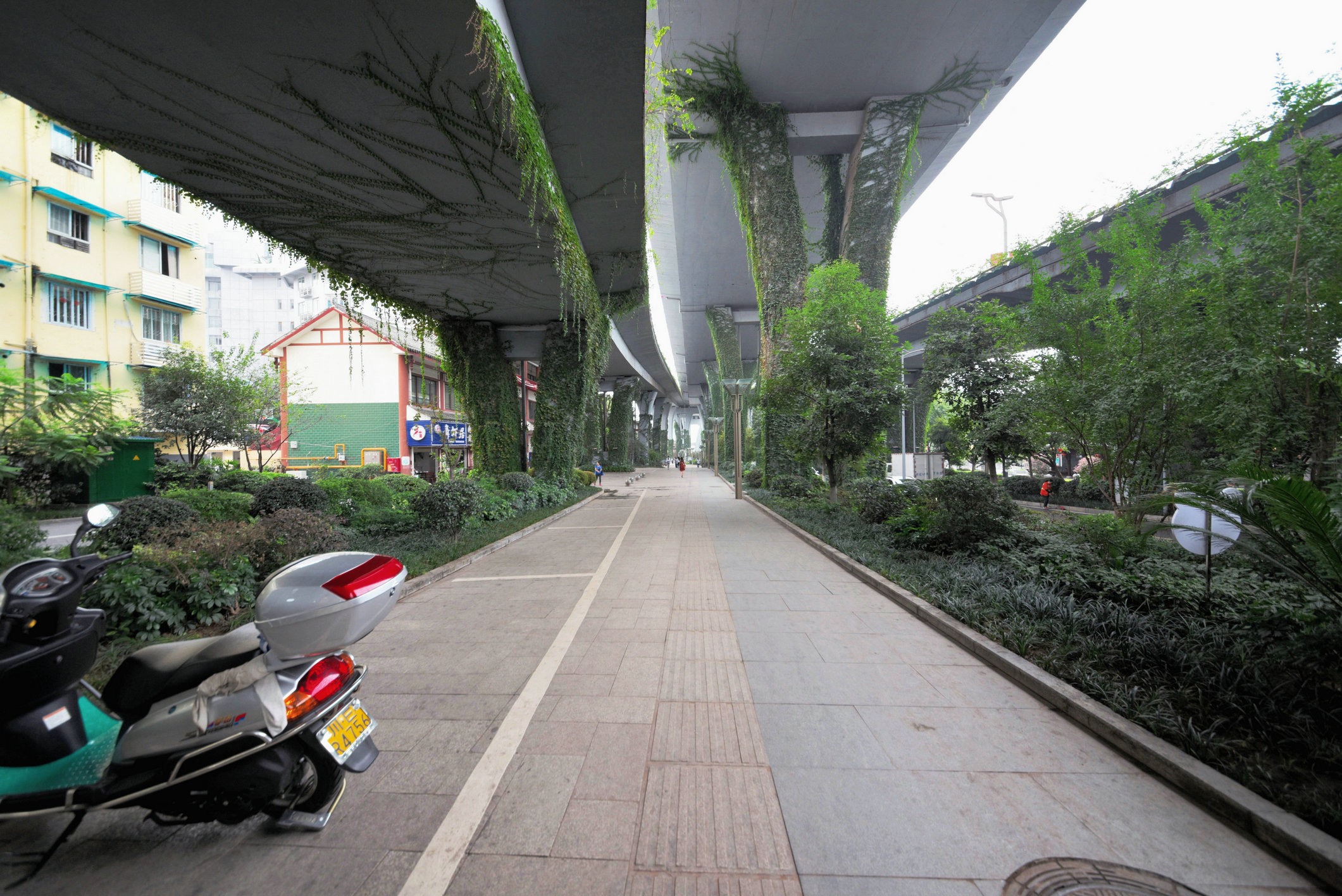GLN_3308.JPG