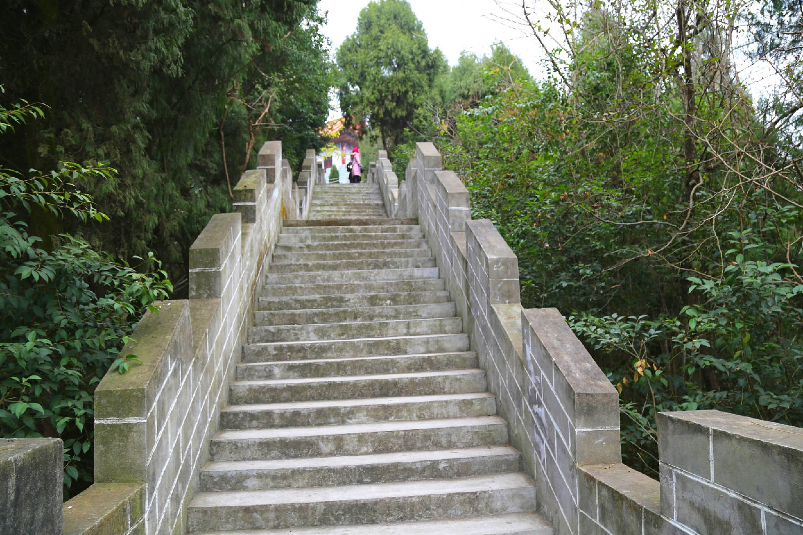 IMG_0170_看图