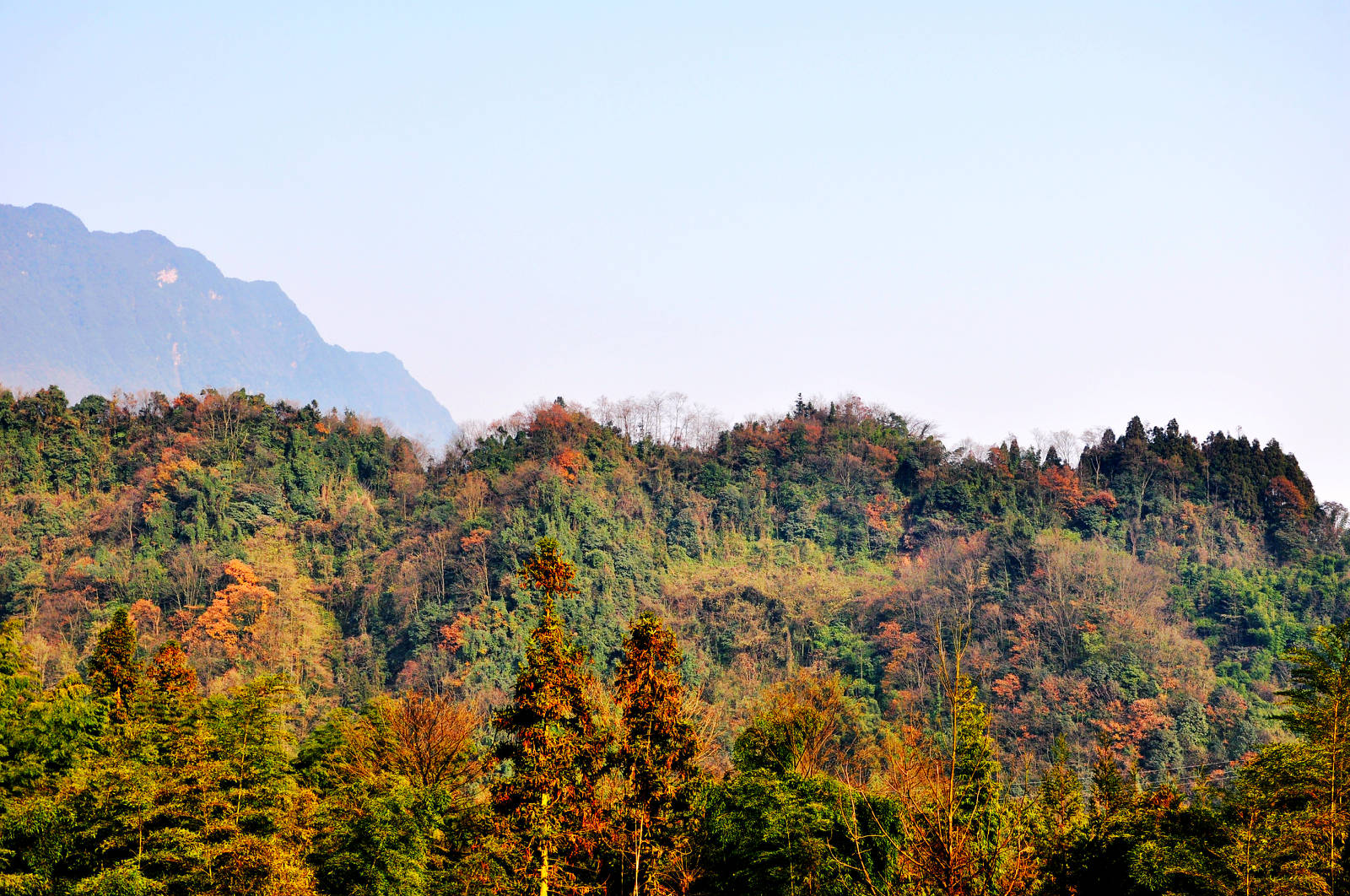 DSC_0225.JPG