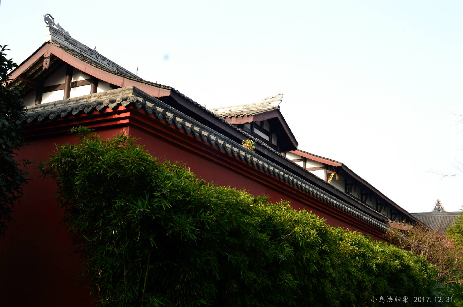 DSC_0153.JPG