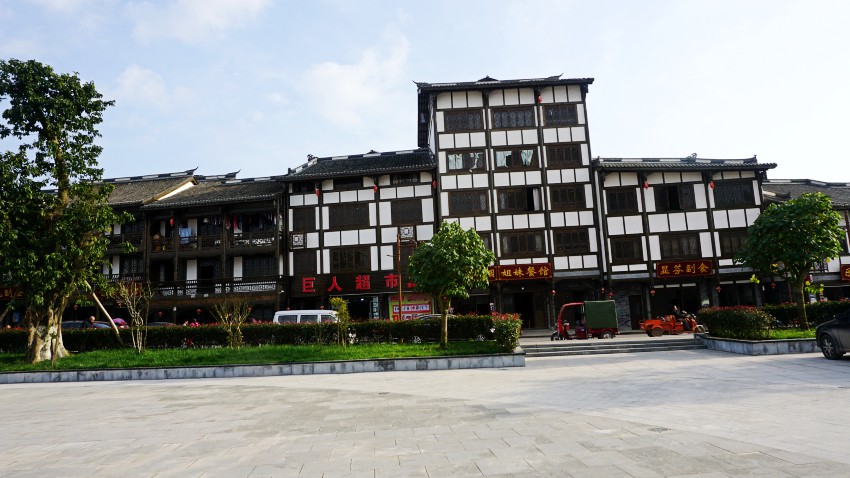 DSC05265_conew1.jpg