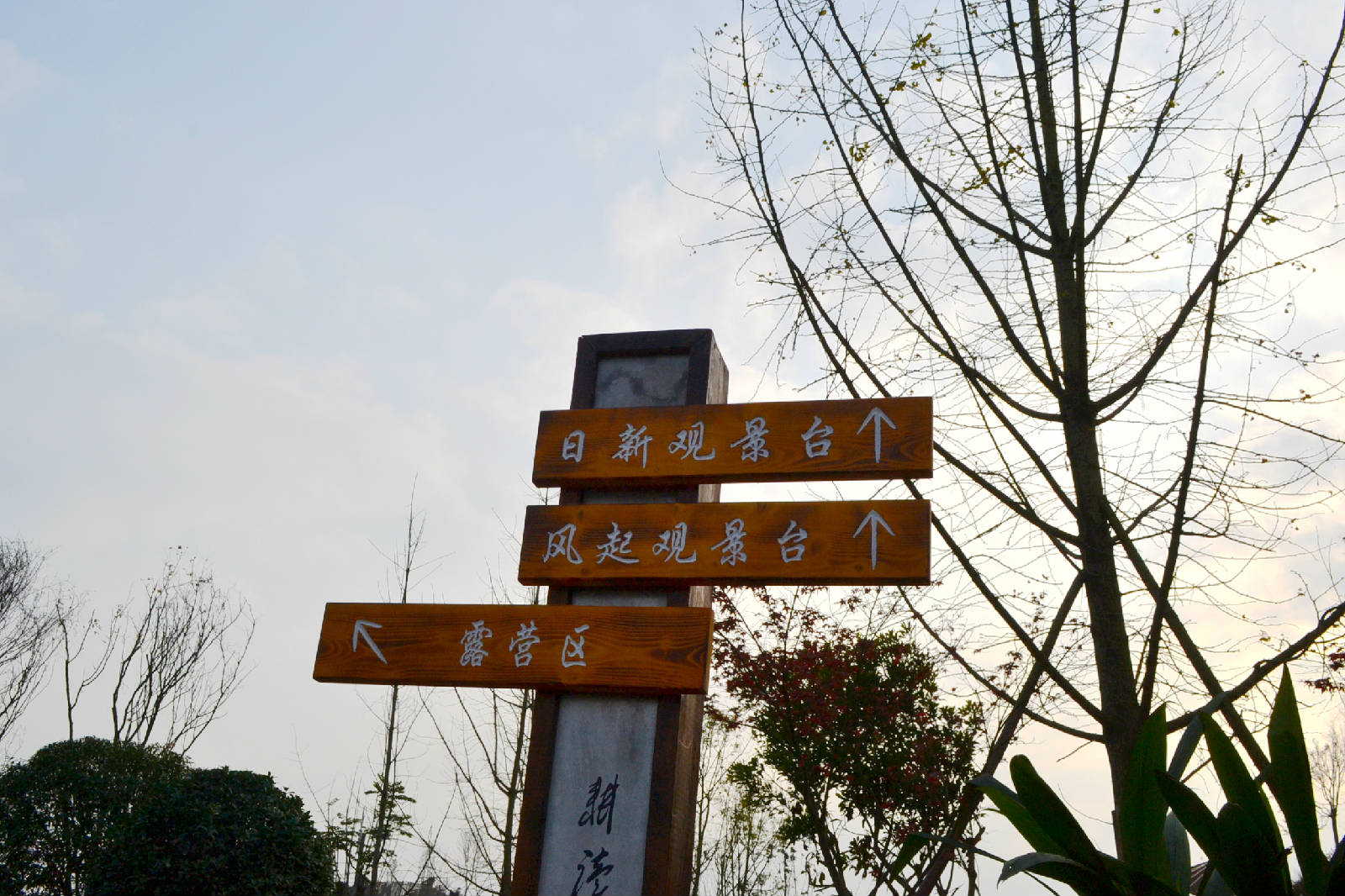 DSC_5256.JPG