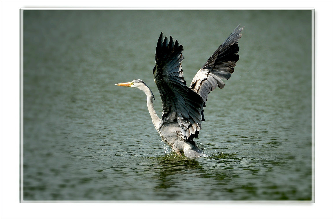 DSC_5614.jpg
