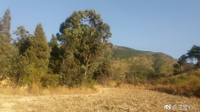 005Rruz9gy1fn6ken931ij31be0qoduf.jpg