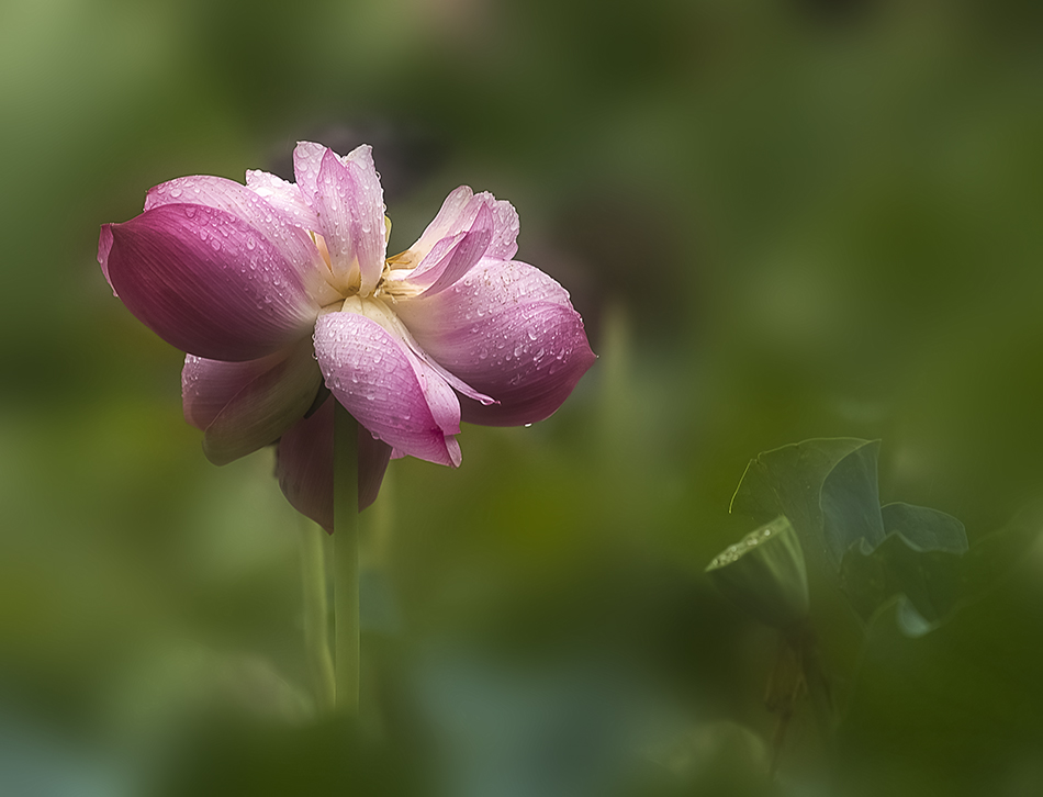 DSC_8406.jpg