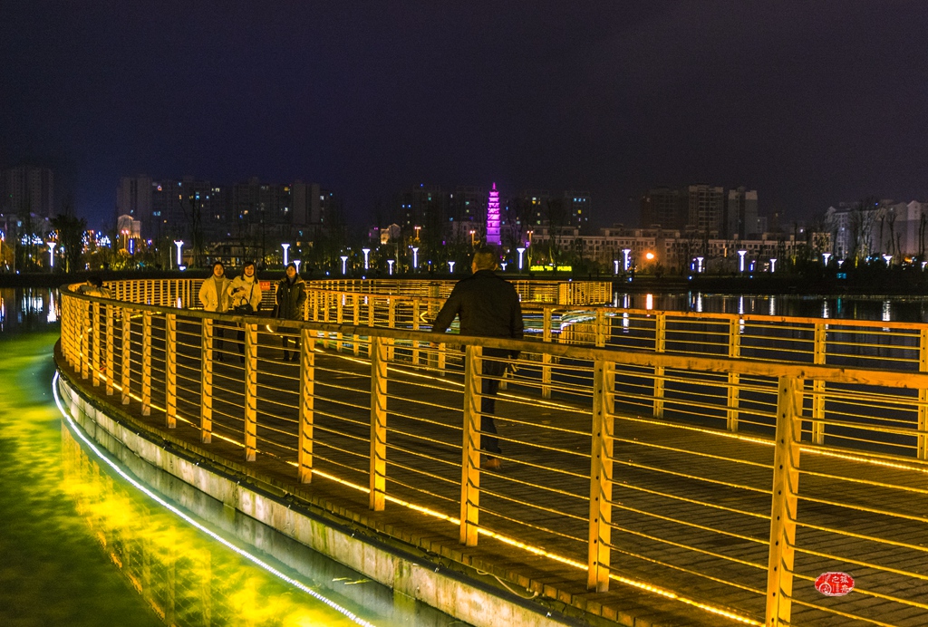 DSC_8595.jpg