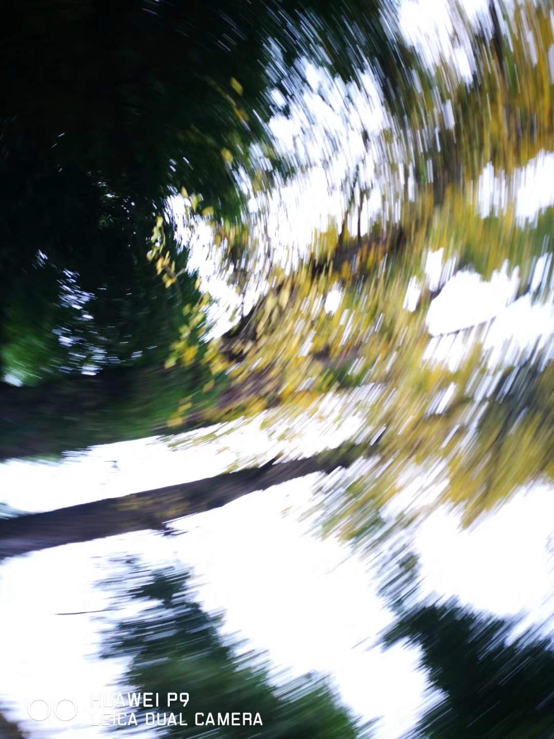 485244134272859443.jpg