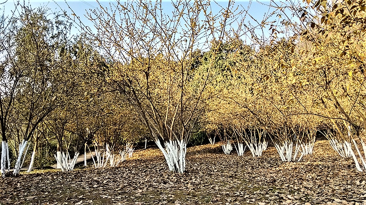 IMG_20180110_163007_HDR.jpg
