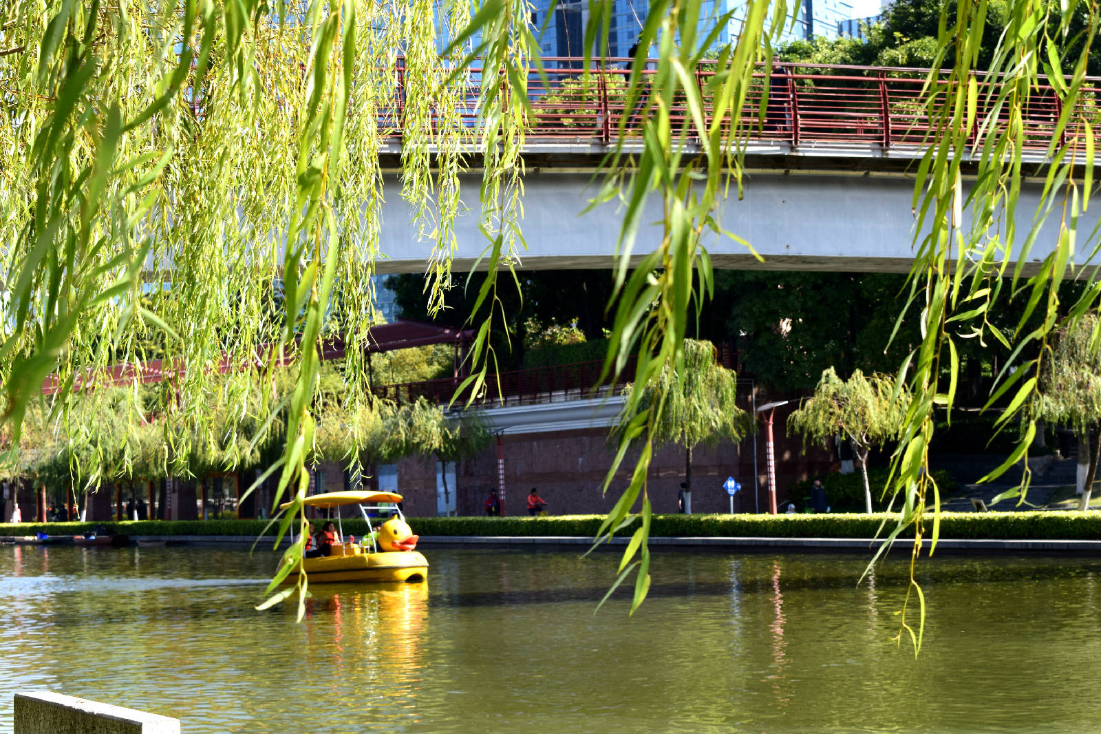 DSC_0541.JPG
