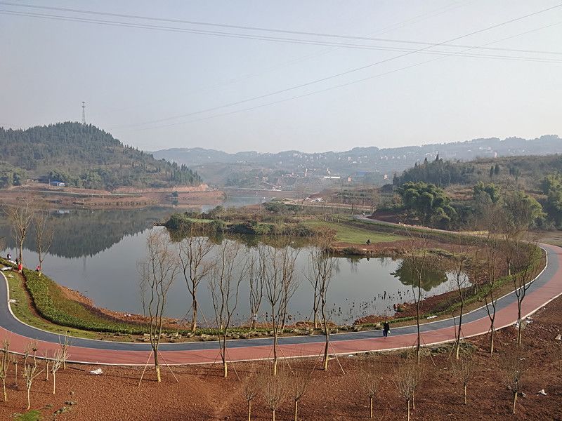 漂亮的長田新區梨樹坪溼地公園好誘人