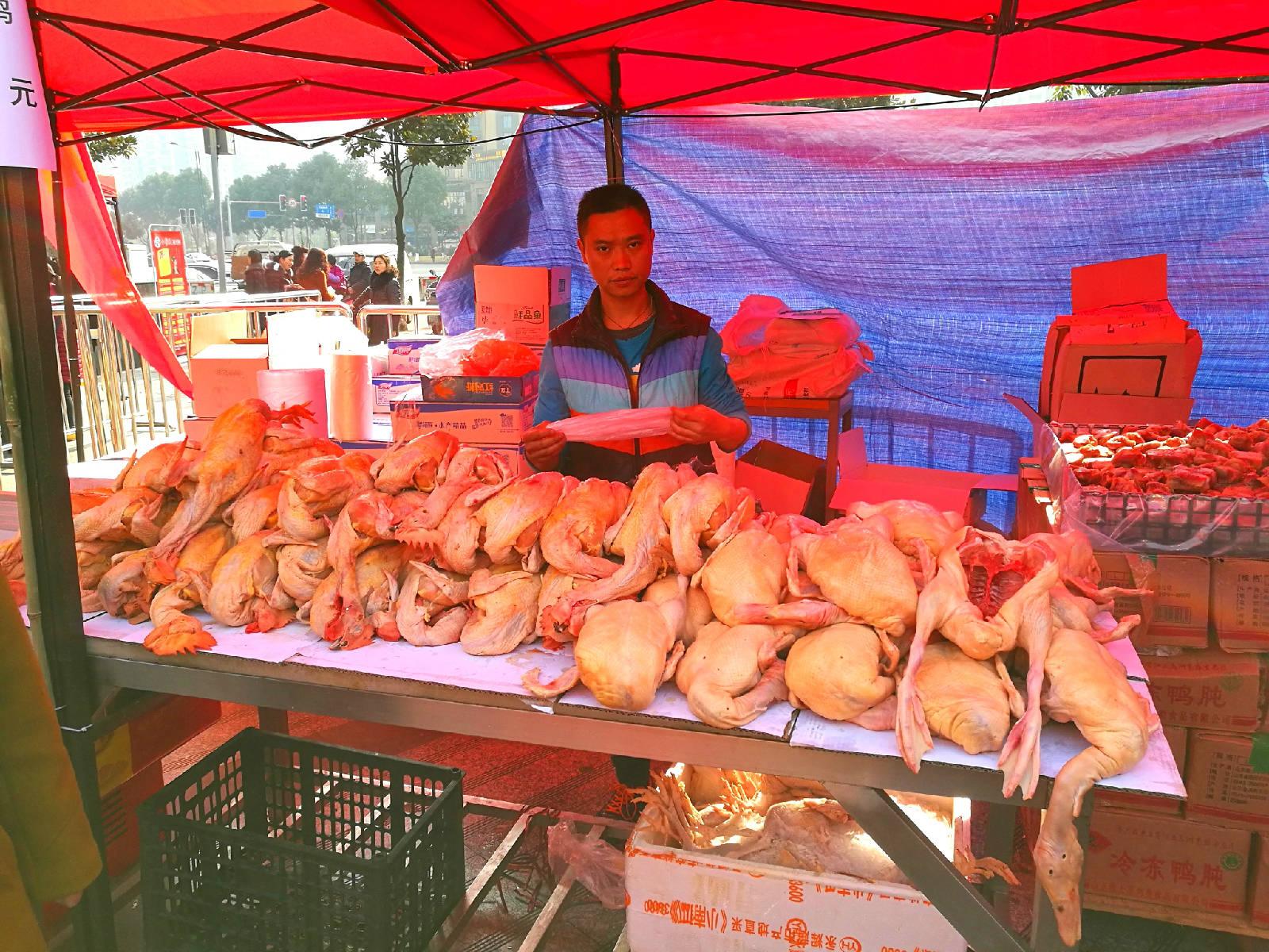 IMG_20180119_113337_看图�