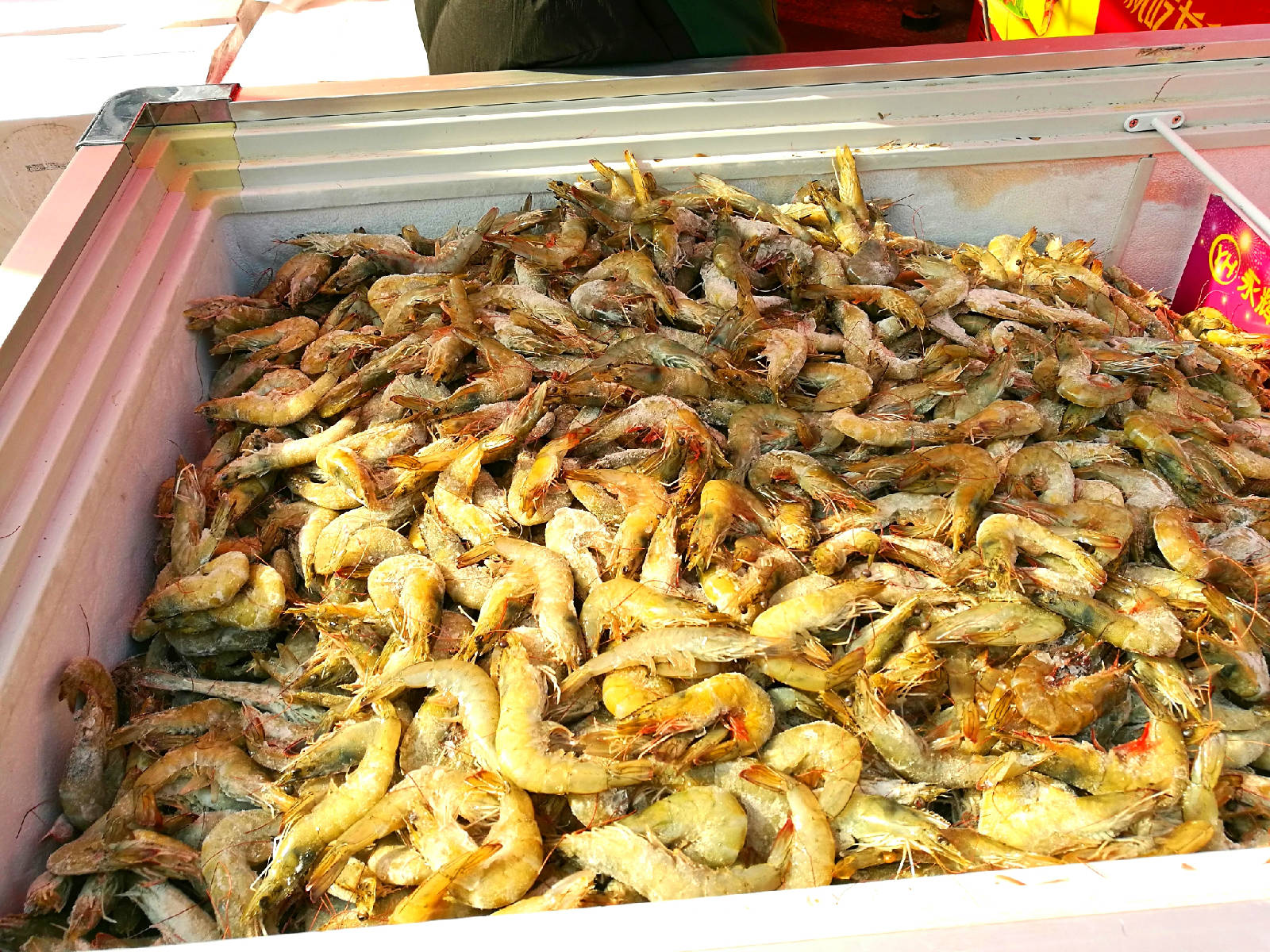 IMG_20180119_113547_看图�