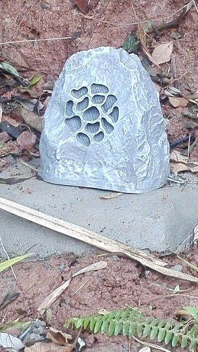IMG_20180119_092519.jpg