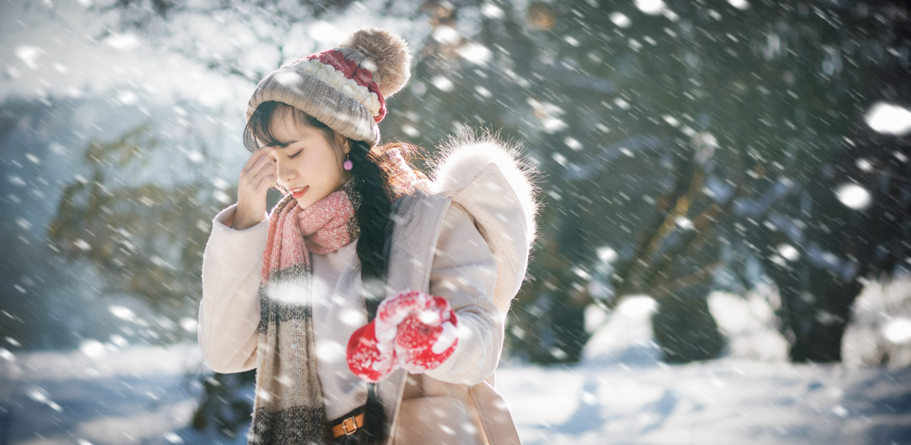 风吹雪花,静静缤纷.