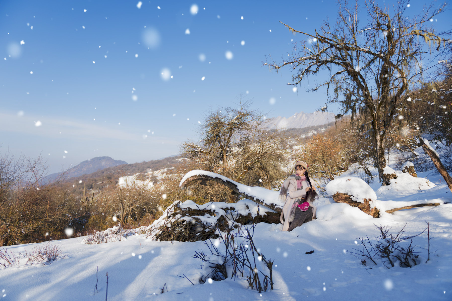 风吹雪花,静静缤纷.