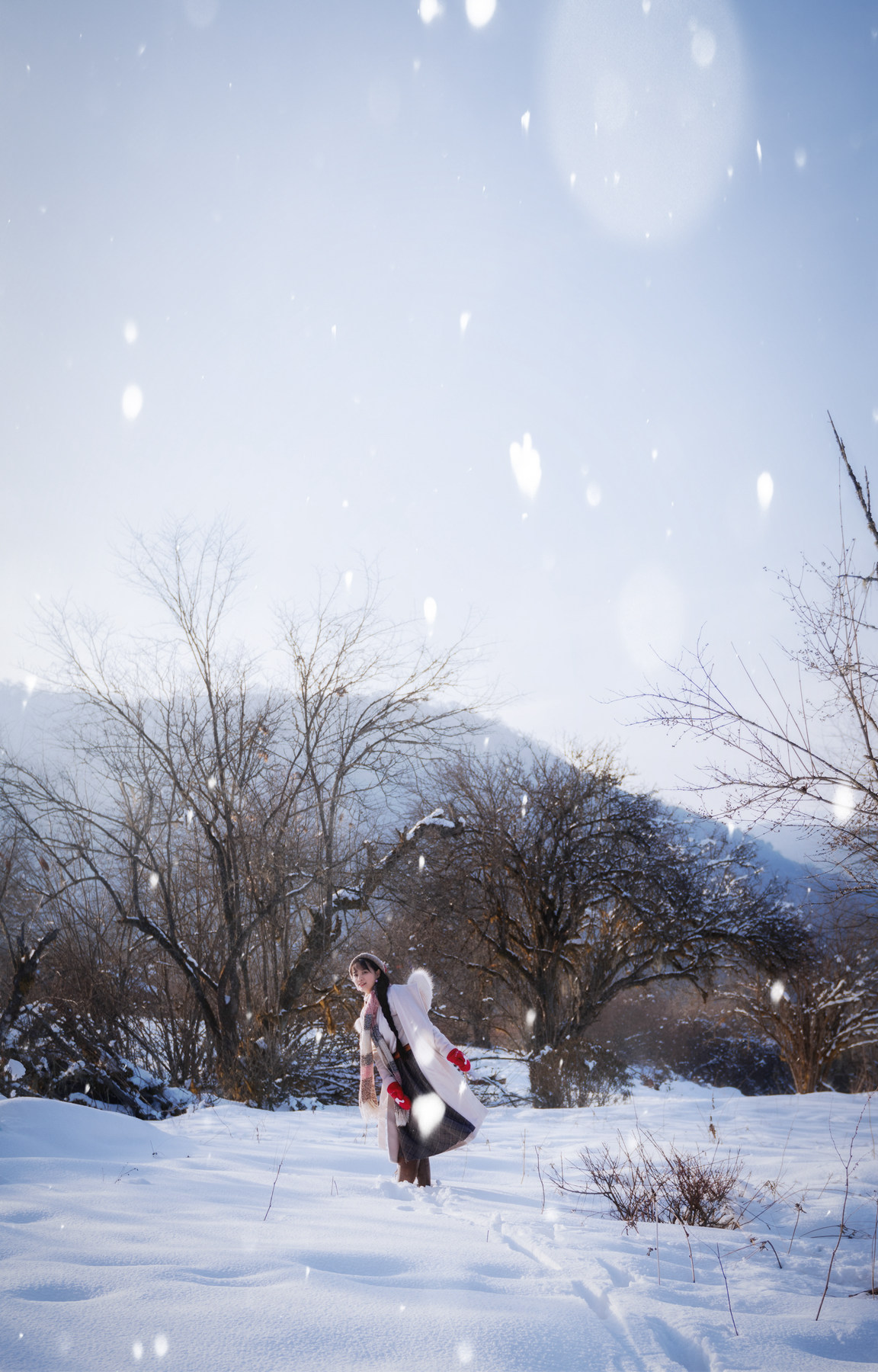 风吹雪花,静静缤纷.