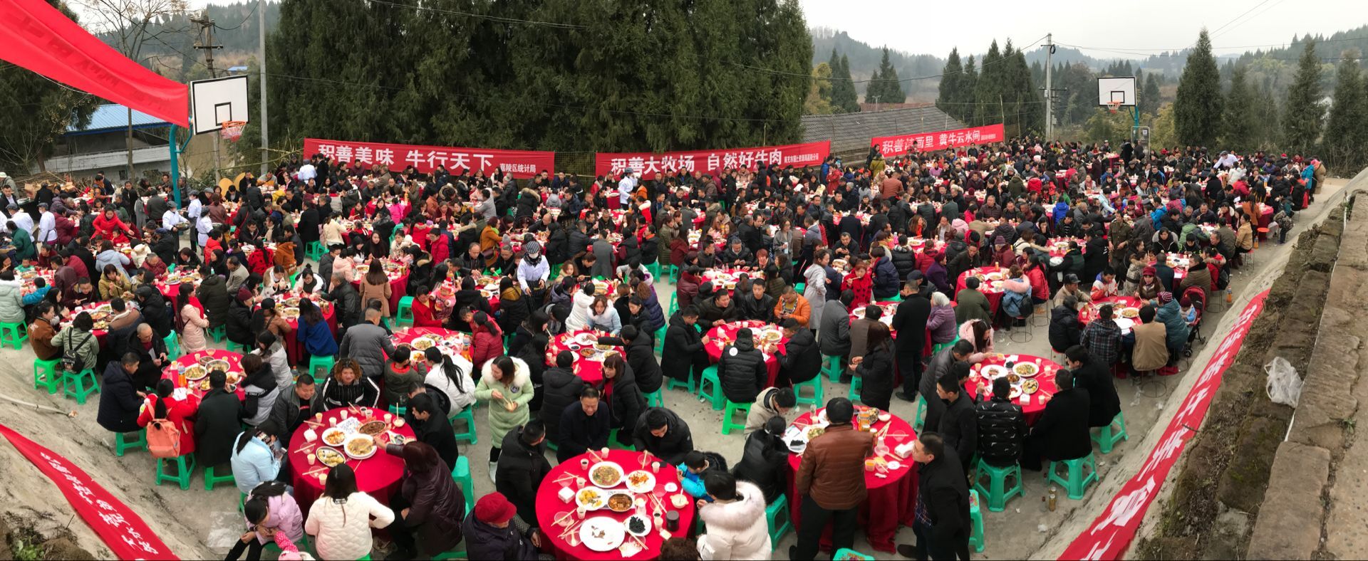 QQͼƬ20180122010321.jpg