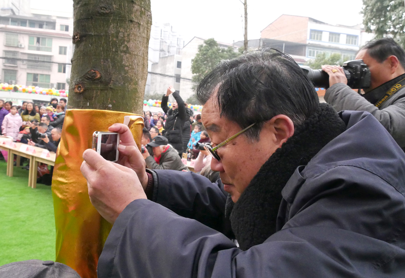 P1370534.jpg