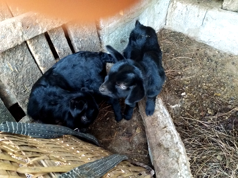 寰掓鏂板北鍒板幙鍩嶪MG_20180120_110015_鍓湰.jpg