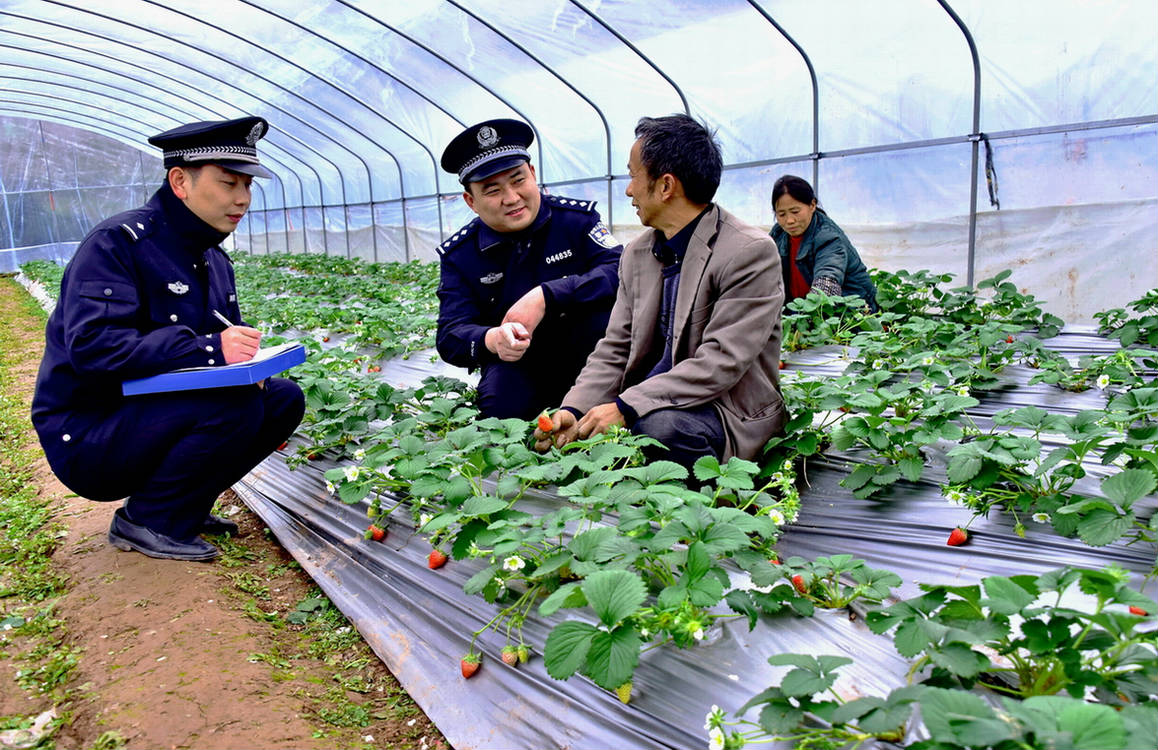 《技能帮扶到大棚》_9715.JPG