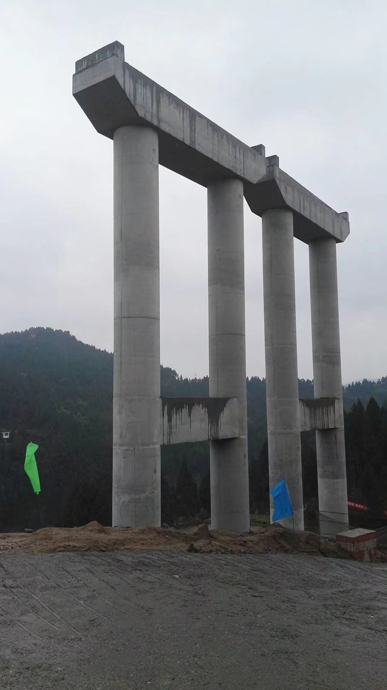 mmexport1516882639434.jpeg