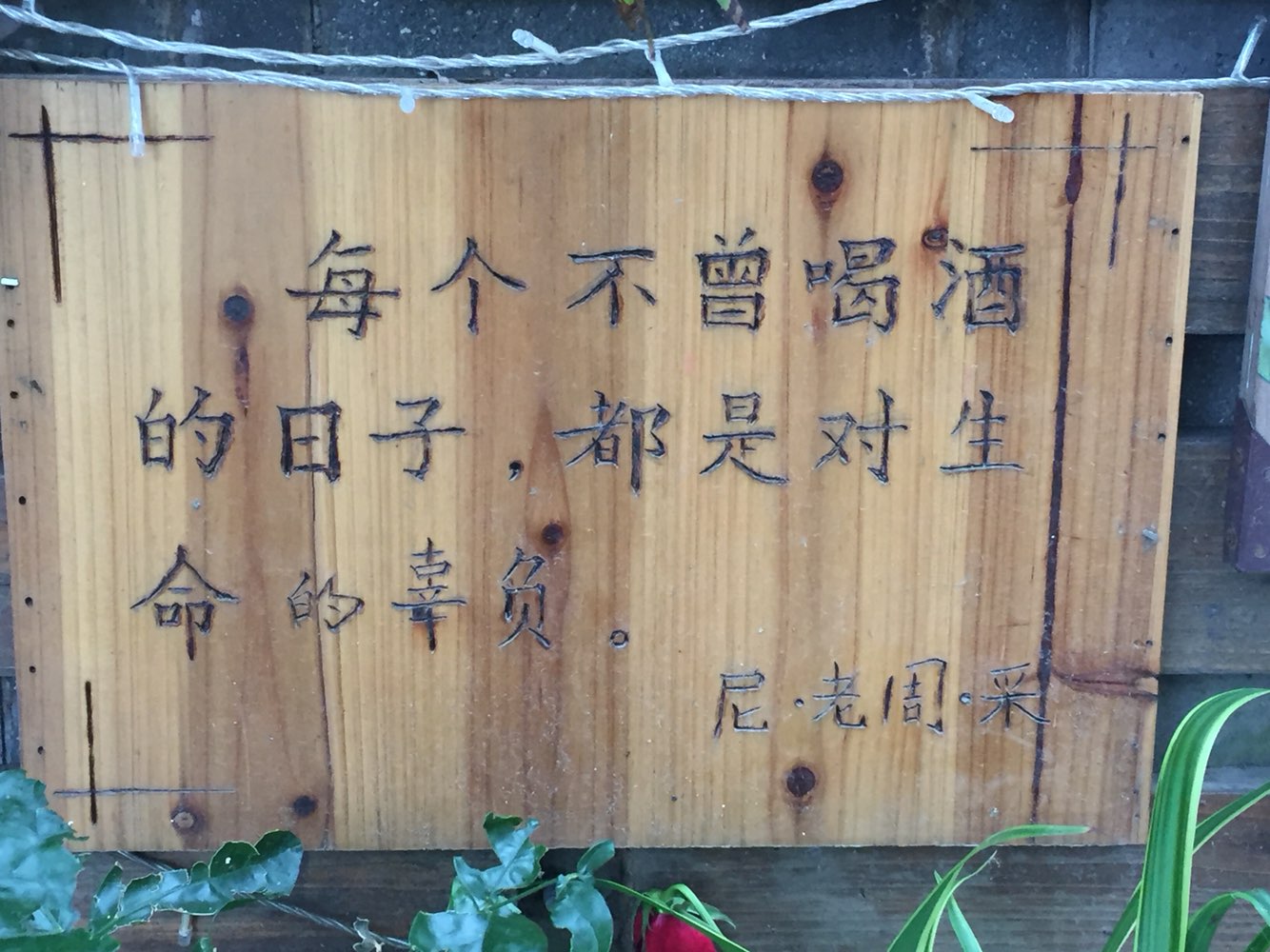 20180125223442.jpeg