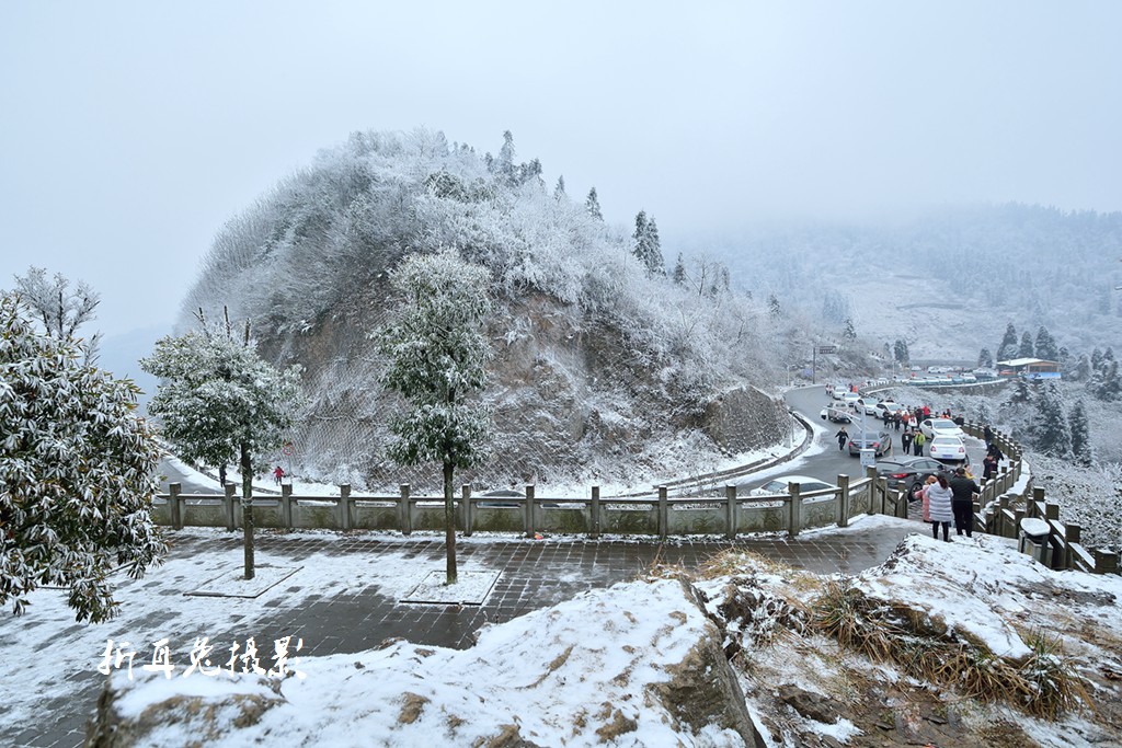 DSC_3164.jpg