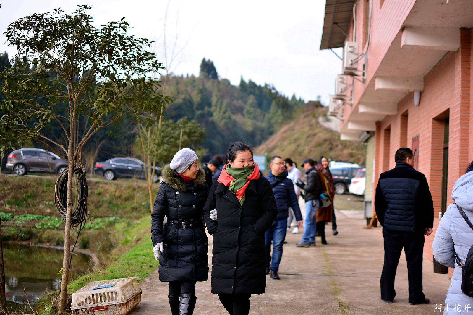 DSC_3546_副本.jpg