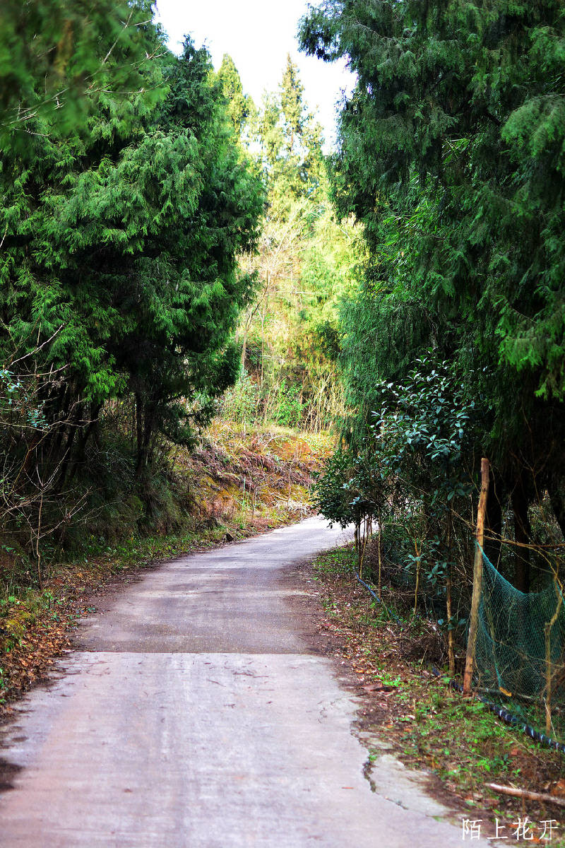 DSC_3660_副本.jpg