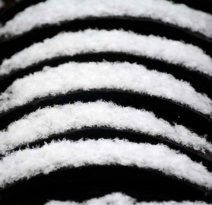DSC_5697.JPG