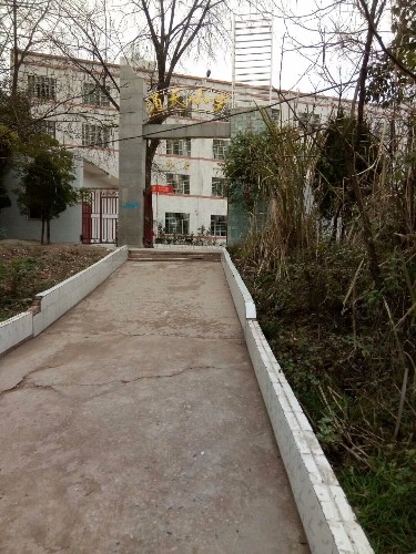 mmexport1517362933394.jpg