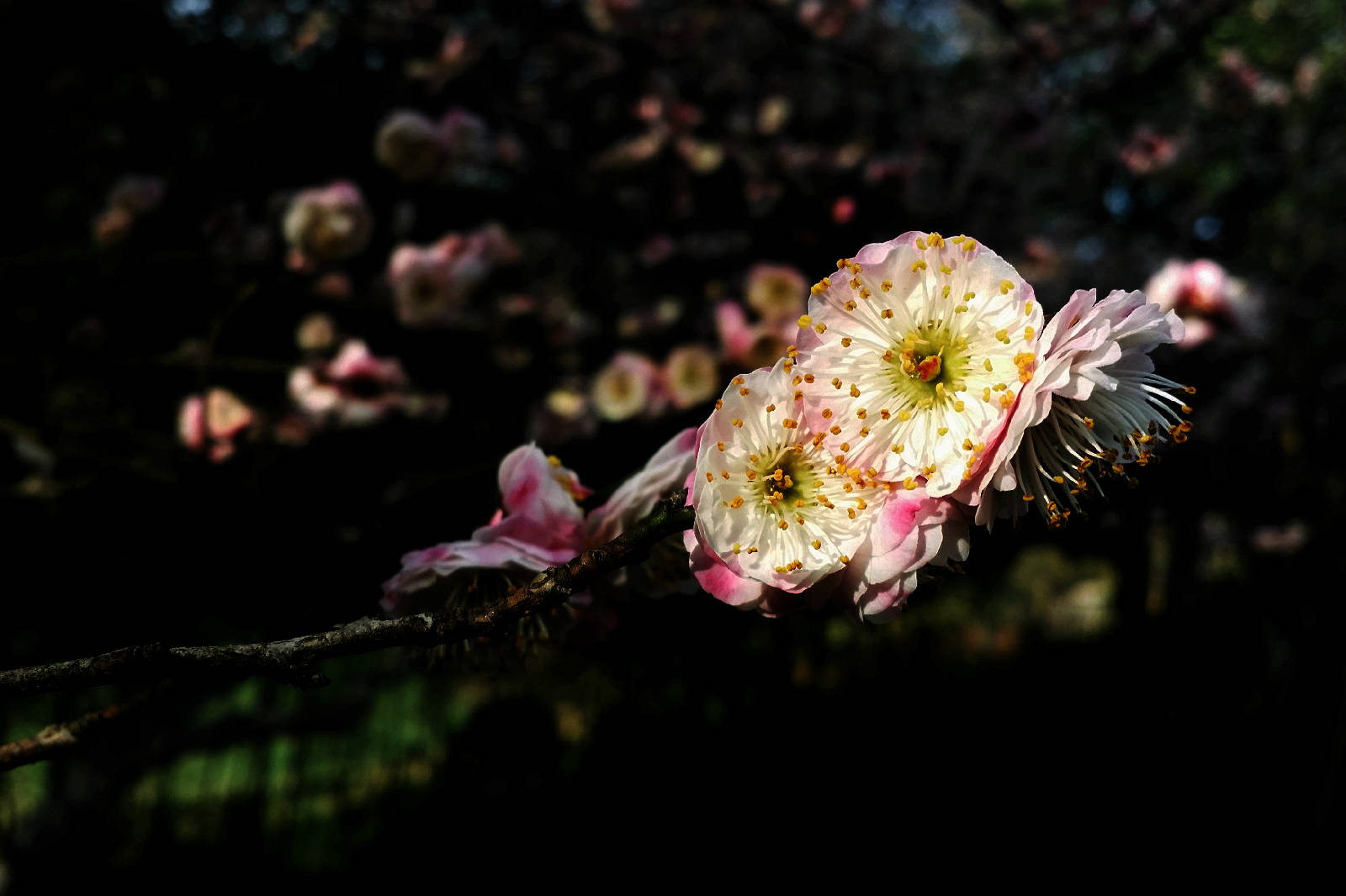 20180124_100337.jpg