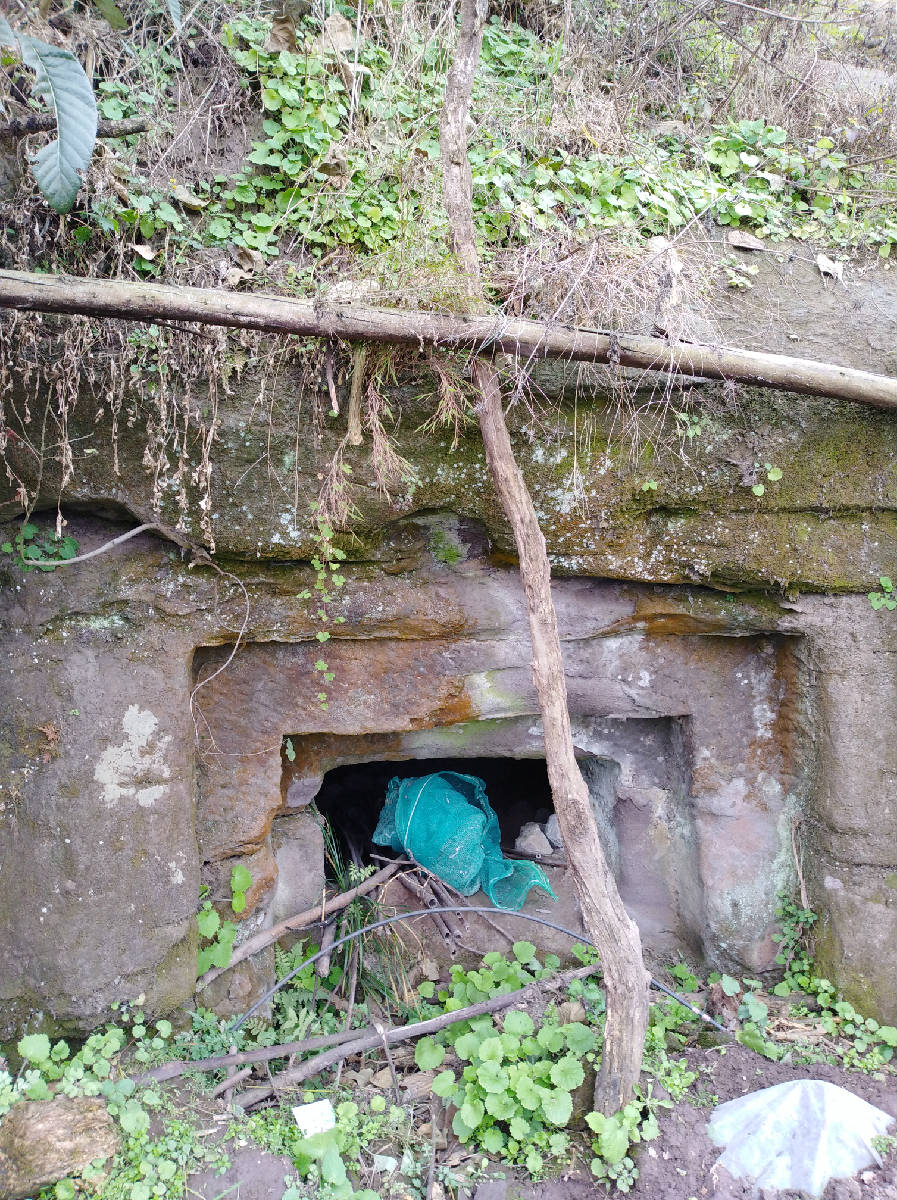 没有了蛮子洞的感�