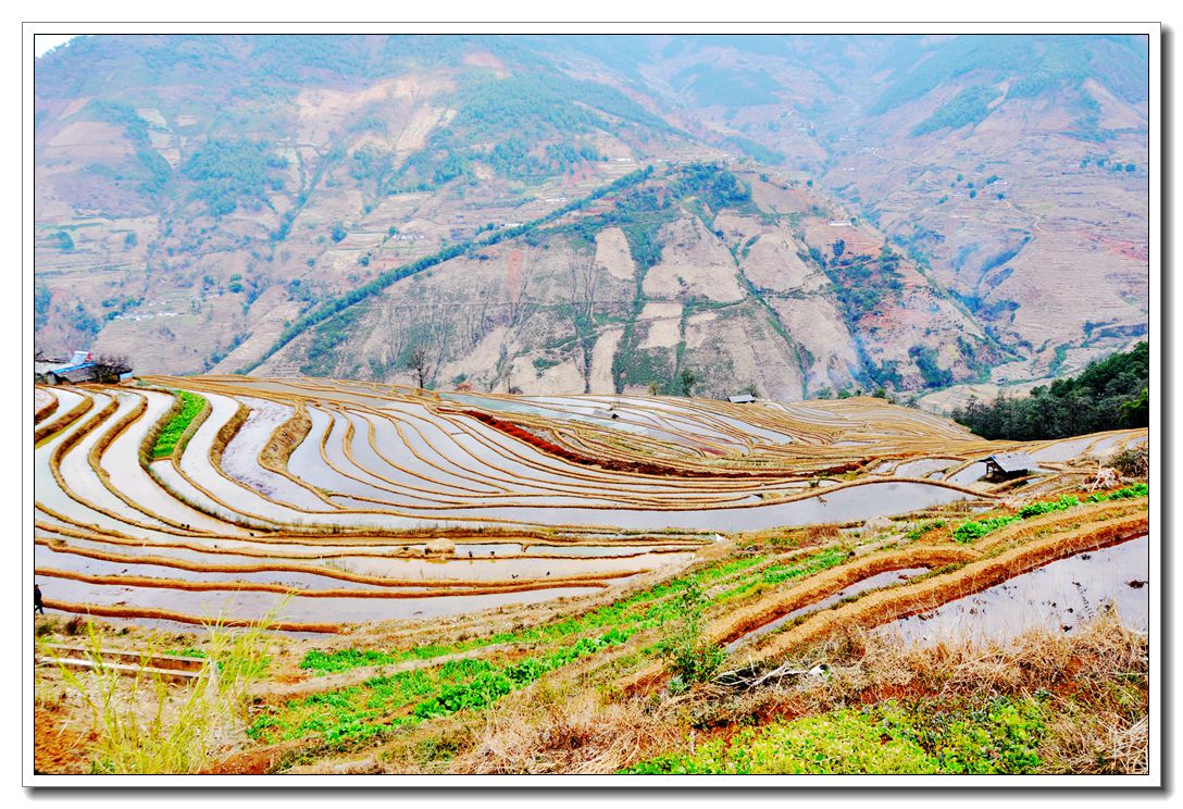 米易新山梯田