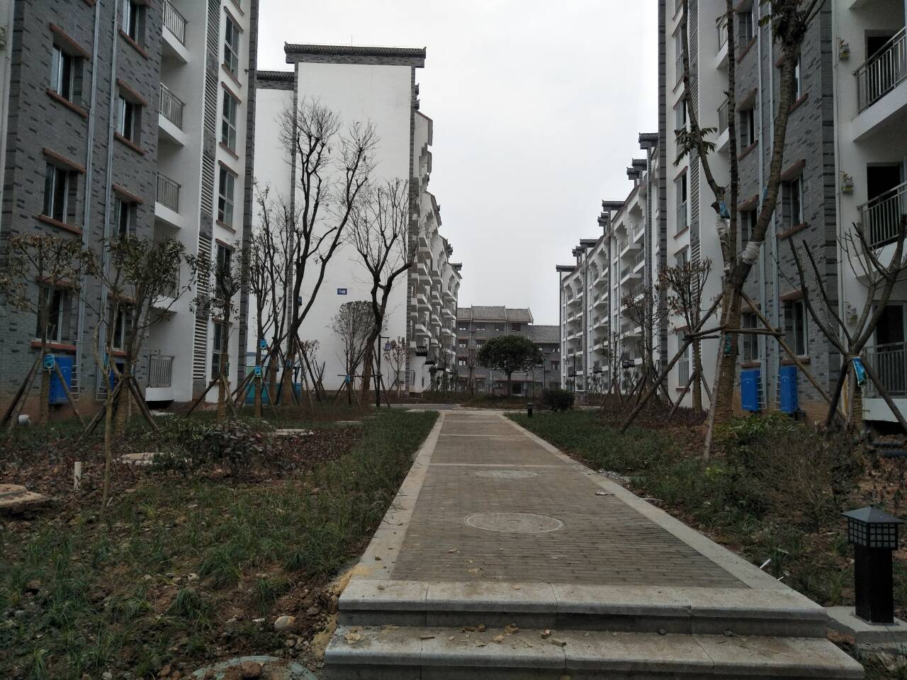 QQ图片20180201170716.jpg