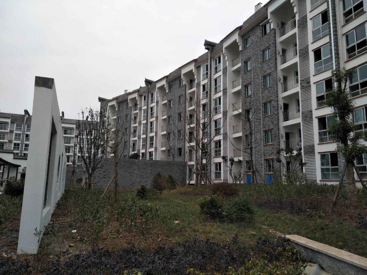 QQ图片20180201170828.jpg