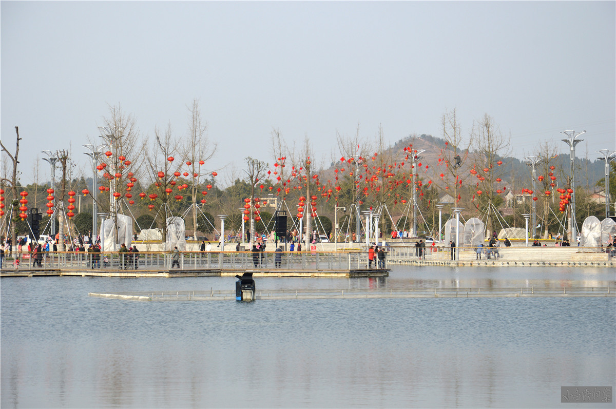 DSC_0076.JPG