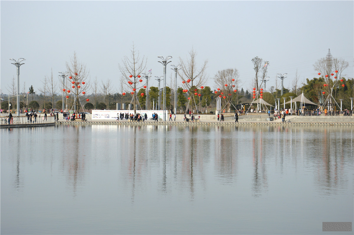 DSC_0081.JPG