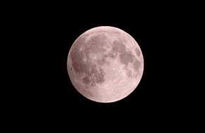 67ab4357302c44119b815d685d0b06c0.gif