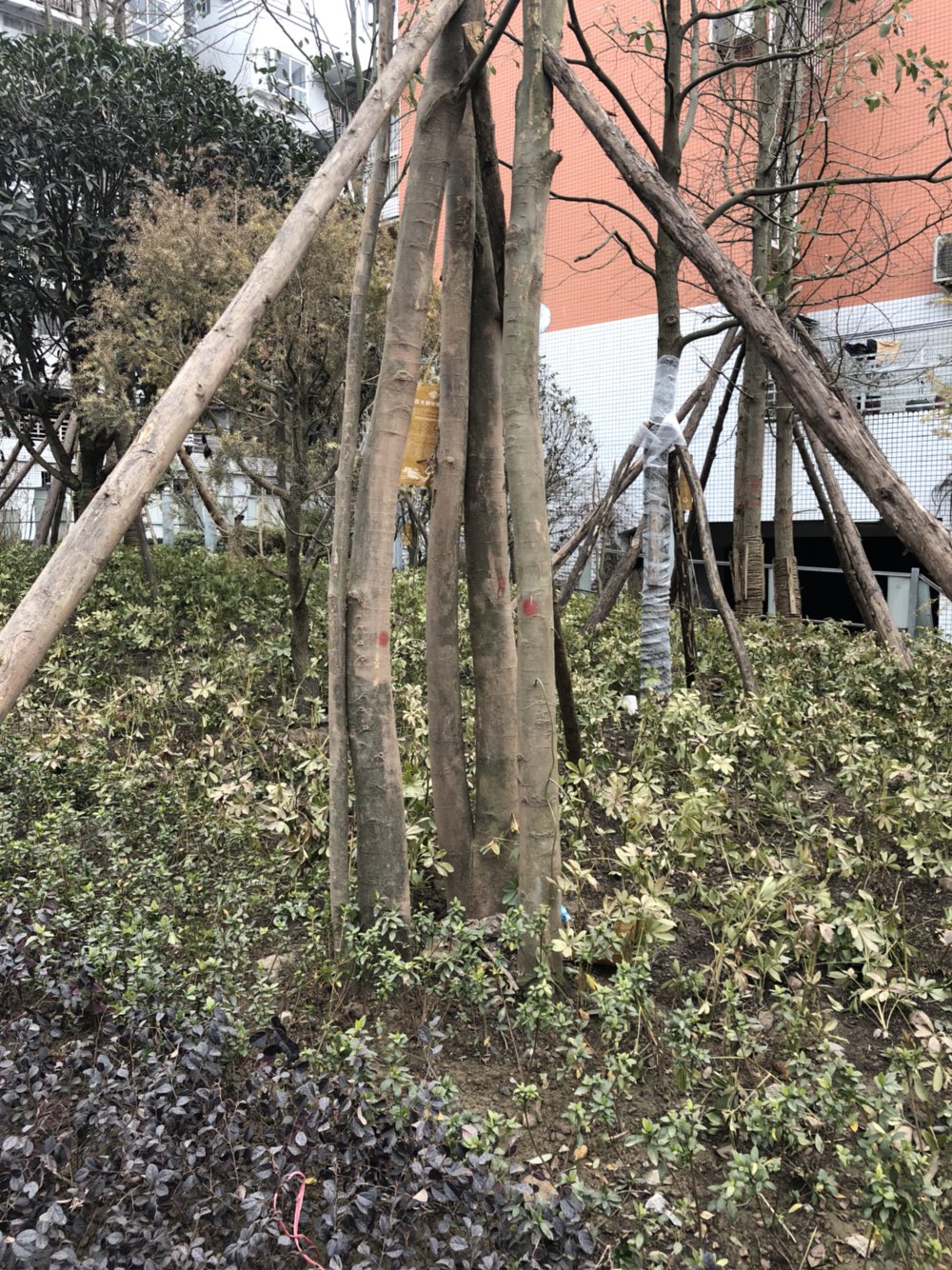 20180205123959.jpeg